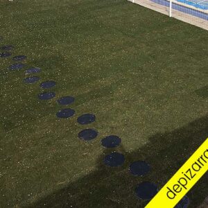 Resistente y elegante paso japonés de pizarra natural. Paso japonés jardín.